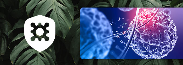 complement alimentaire adn